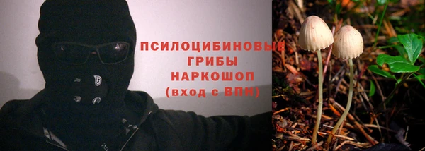 метадон Няндома