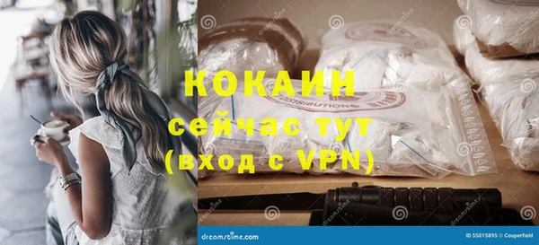 метадон Няндома