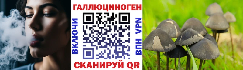 нарко площадка Telegram  Комсомольск  Псилоцибиновые грибы прущие грибы 